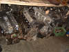 DSCF0068